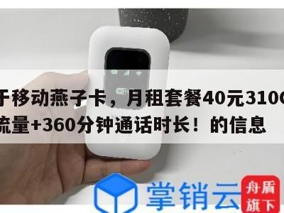 关于移动燕子卡,月租套餐40元310G通用流量+360分钟通话时长!的信息
