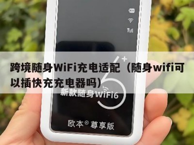 跨境随身WiFi充电适配（随身wifi可以插快充充电器吗）