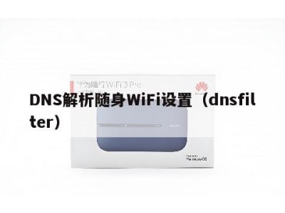 DNS解析随身WiFi设置（dnsfilter）
