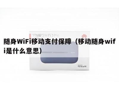 随身WiFi移动支付保障（移动随身wifi是什么意思）