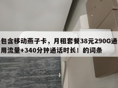 包含移动燕子卡,月租套餐38元290G通用流量+340分钟通话时长!的词条
