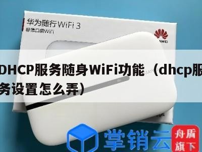 DHCP服务随身WiFi功能（dhcp服务设置怎么弄）
